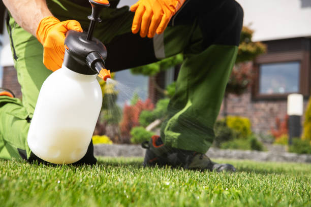 Pest Control Cost in Palo, IA