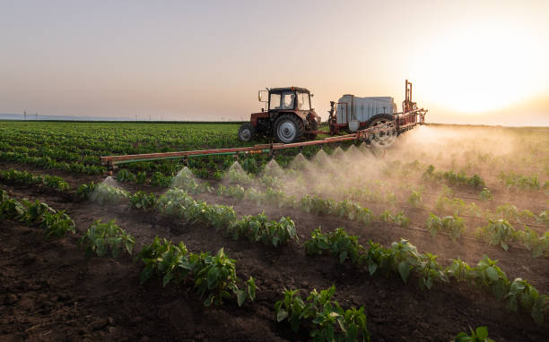 Best Ant Control Services  in Palo, IA