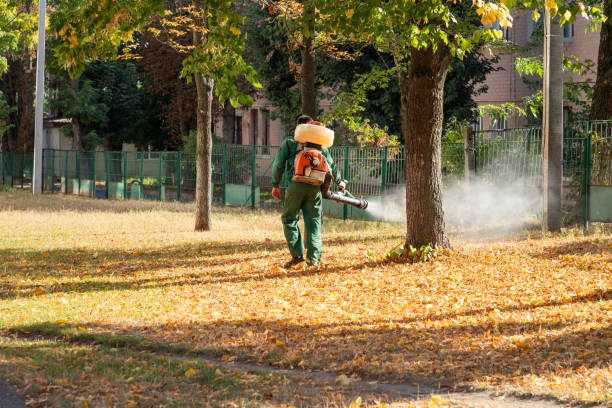 Best Flea Control Services  in Palo, IA